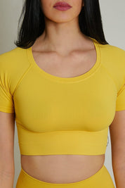 Maglia sportiva cropped seamless con maniche corte Bolero CALIPSO Amarillo Costine - FGM04 - Maglie e Top - fgm04