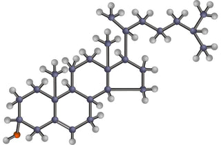 Suplimente pentru colesterol: Când să le luați? La ce oră ar trebui să le luați? - fgm04