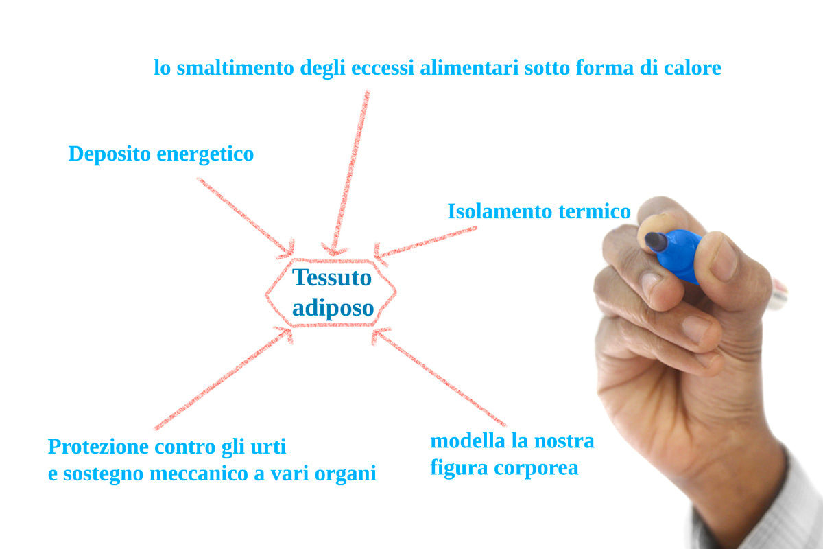 Come eliminare l'accumulo di grasso localizzato?