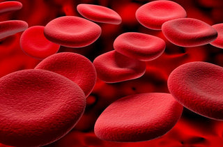 Migliori Integratori di Ferro Naturale: quali sono? - fgm04