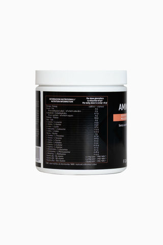 Amino 4S Gusto Pesca 300g - FGM04 - INTEGRATORI - fgm04