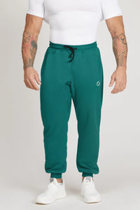 Męskie spodnie joggery hip-hopowe 2.0 Iconic FW 24/25 Teal Green