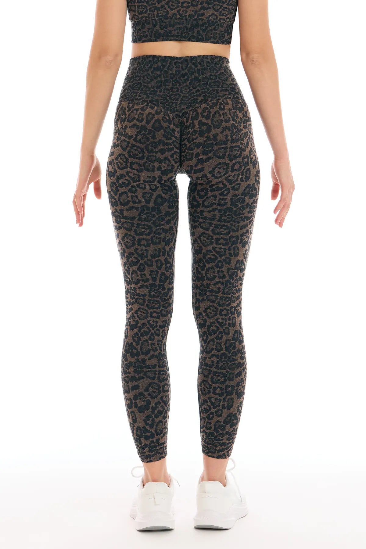Leggings Soft Push Up Wild Essence BambùFIR Dark Bronze - fgm04 - LEGGINGS ANTICELLULITE - fgm04