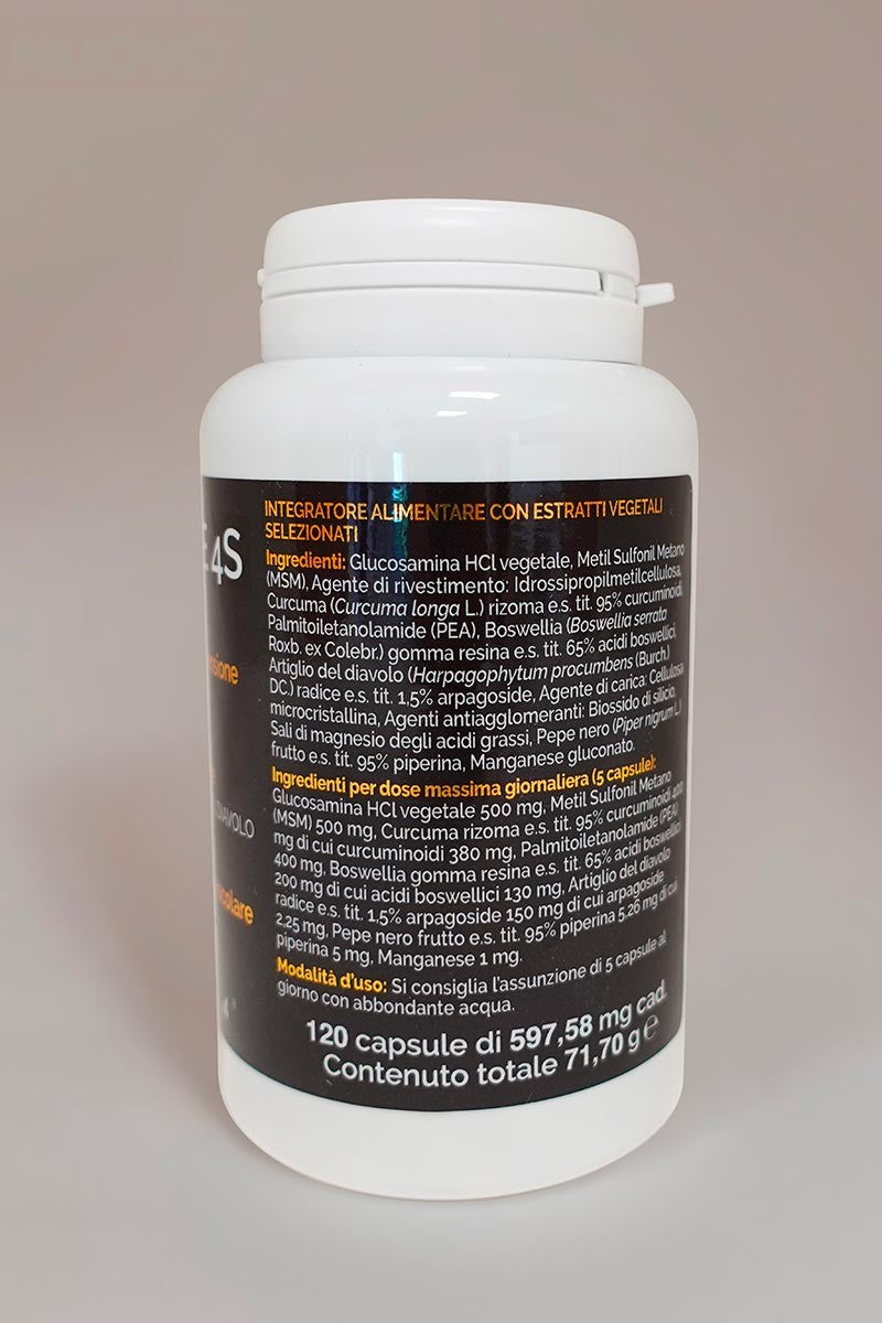 NoFlame 4S - 120 caps - FGM04 - P698