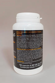 NoFlame 4S - 120 caps - FGM04 - P698
