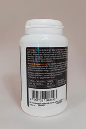 NoFlame 4S - 120 caps - FGM04 - P698